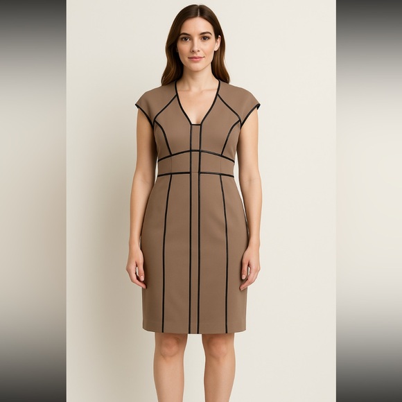 Maggy London Taupe Sheath Dress with Faux Leather Trim Size 12 - Picture 1 of 6